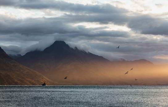 A moody sunset over Lake Whakatipu, with birds in flight and mist clinging to the rugged, cloud-covered mountains in the background.