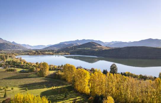 An aerial shot of Lake Hayes on an autumn day
