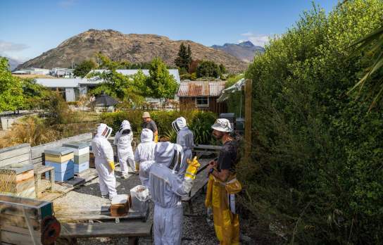 Group of people on a honey tour dressed up in bee suits looking at the hives