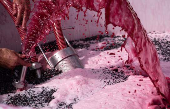 Close-up of vibrant red grape juice being poured and filtered during the winemaking process, surrounded by frothy bubbles and crushed grape skins.