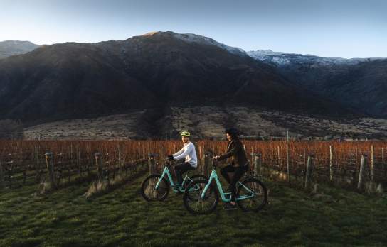 Winter through Gibbston Valley Winery