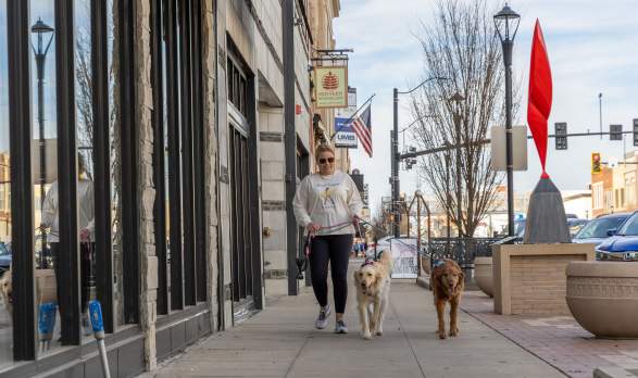 Woman walking with two dogs
