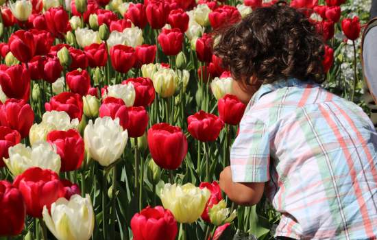 Araluen Botanic Gardens