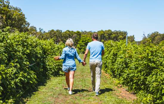 Walking through orchard, Dwellingup