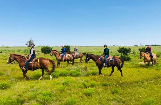 group riding horses posse-style