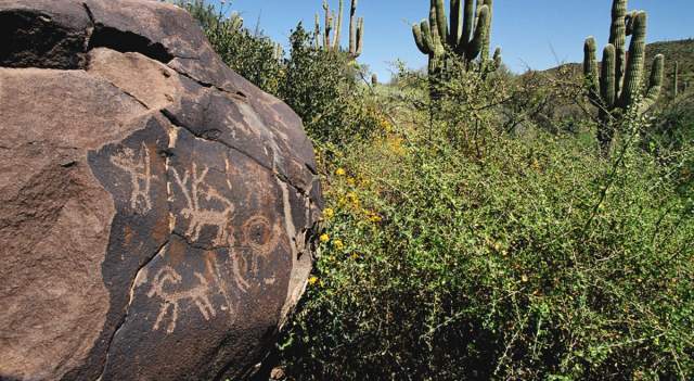 Usery Mountain Regional Park Petroglyphs
