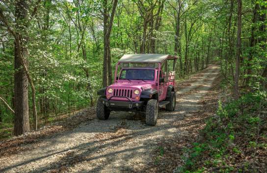 Pink Jeep Tours Spring Attraction