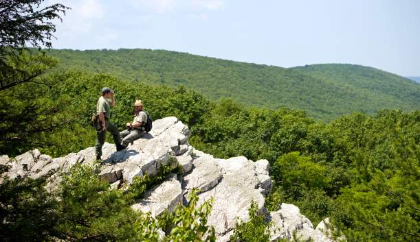 Pine Grove Furnace Pole Steeple