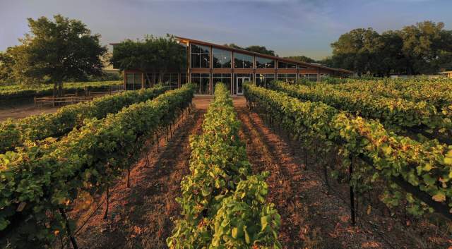 Photo of the tasting room building at William Chris Vineyards behind rows of grapevines