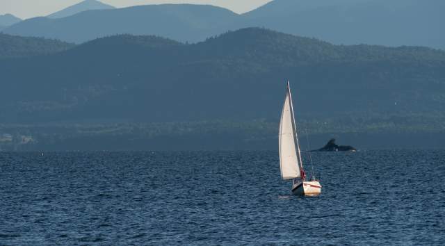 Sailboat