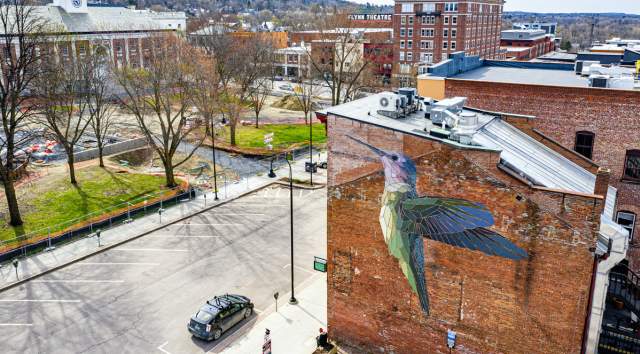 Hummingbird Mural at City Hall Park