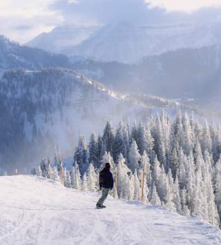 Snowboarder going down the Great Western at Brighton Resort, UT.