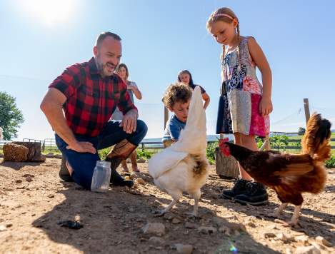 Main- Things- Agritourism