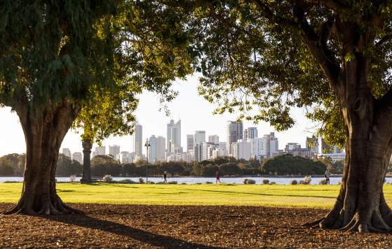McCallum Park in Victoria Park, Perth City