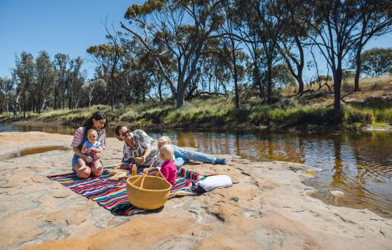 Family picnic near Goomalling, Avon Valley