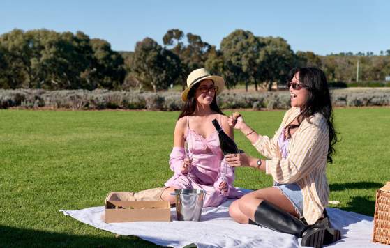 Lavender Estate, Sunset Coast