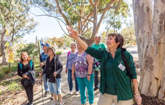 Group on a guided walking through Kings Park