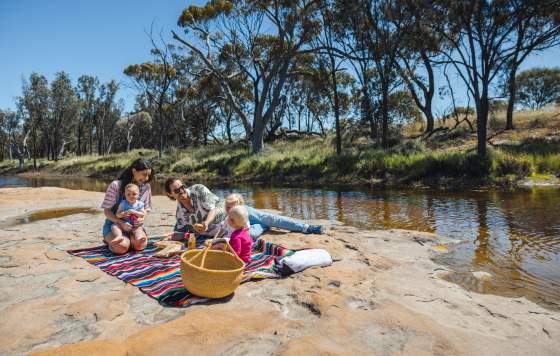 Family picnic near Goomalling, Avon Valley