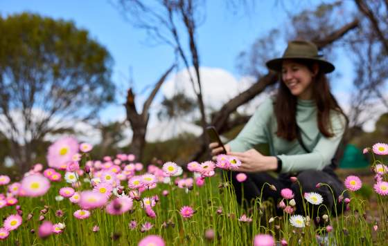 Photos of wildflowers in the Avon Valley