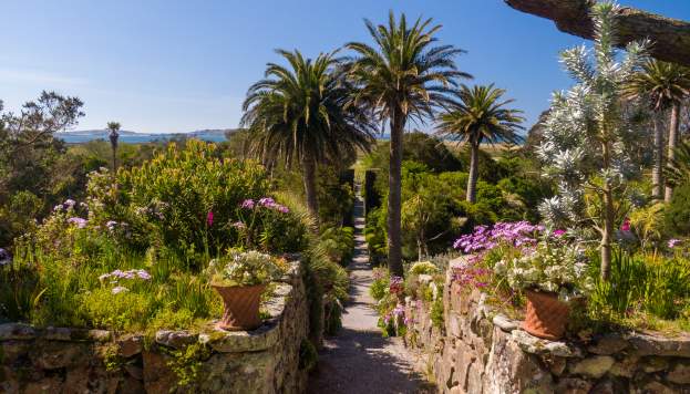 Tresco Abbey Garden