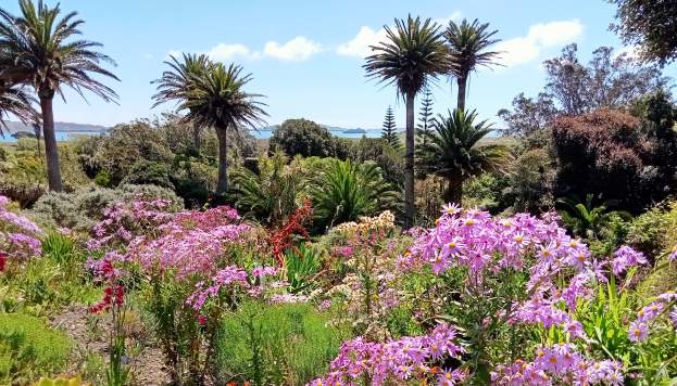 Tresco Abbey Garden