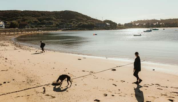 Woman walking along beach with dog