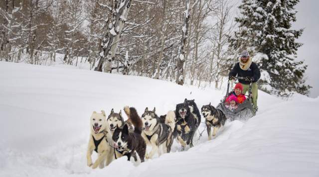 Dogs charging through fresh snow pulling sled with smiling mother and daughter.