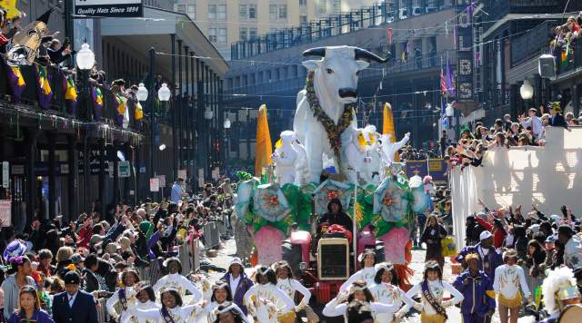 Krewe of Rex