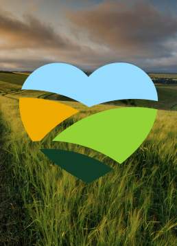 A branded heart overlay on a rolling countryside field at sunset