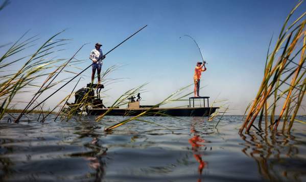 Two fly fishermen on a small boat in a calm marsh at sunset, surrounded by tall seagrass.