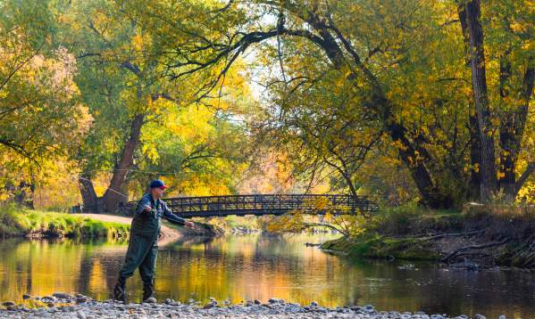 From Harvest to Halloween: Fort Collins in October