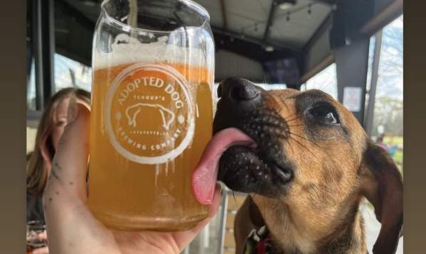Lafayette Pet Friendly Guide