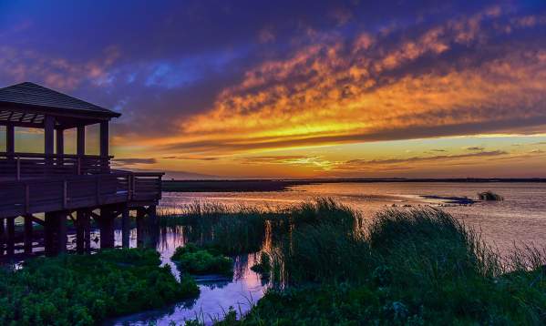 A vibrant sun sets over marshy waters. On the left sits a wooden observation deck.