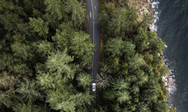 An aerial view of a car driving along a forested road next to the ocean.