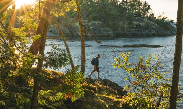 Sunlight gleams through the trees as a man walks along the rocky shore.