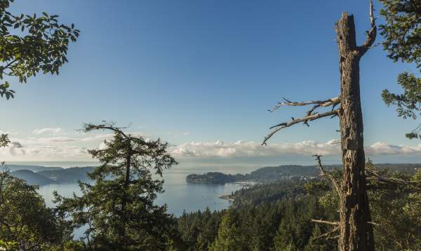 The viewpoint at Soames Hill, overlooking Gibsons.