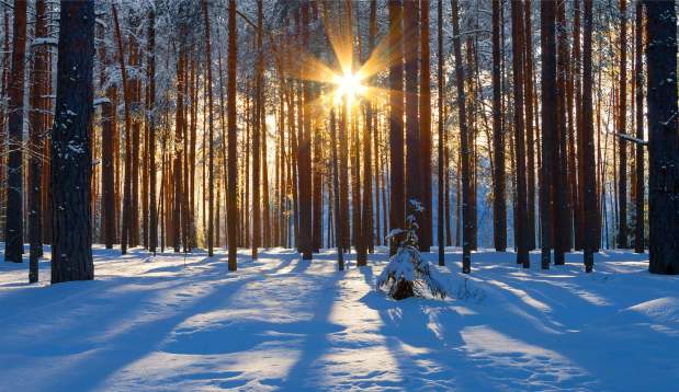 2Feb Winter Sunrise 2UC Timothy-Dowhower