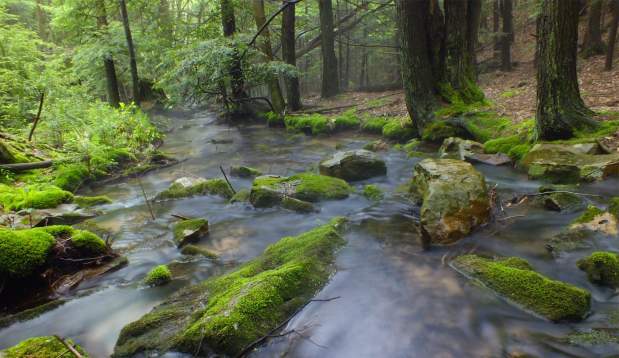 Hook Natural Area