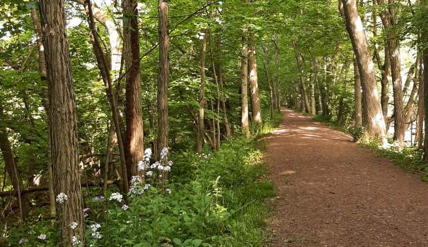 Watsontown Towpath