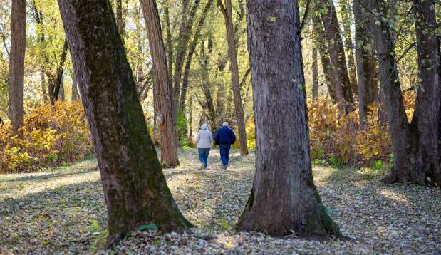 Hiking Milton State Park