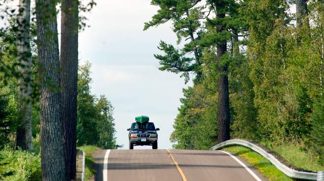 White pines alongside scenic Gunflint Trail