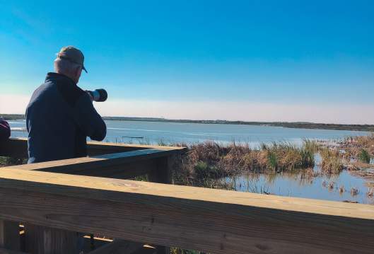 The foreground shows a slatted wooden fence. A man holding a camera stands at the fence looking out at the water and grassy marshes