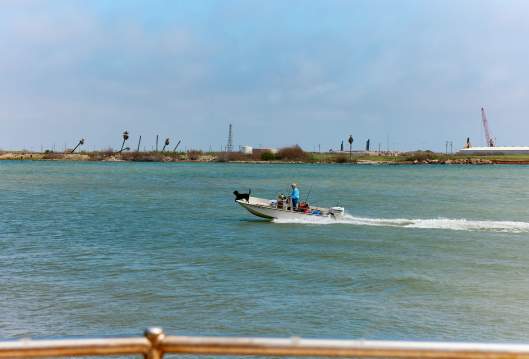 A man in a blue shirt drives a boat across blue water with a black dog at the helm