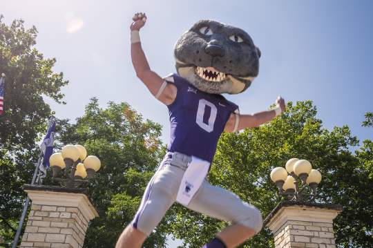 KSU mascot