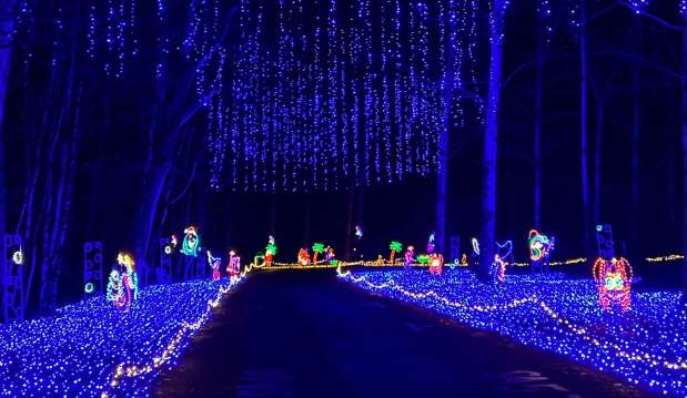 Joy Through the Grove