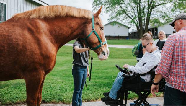Horse Park Accessibility