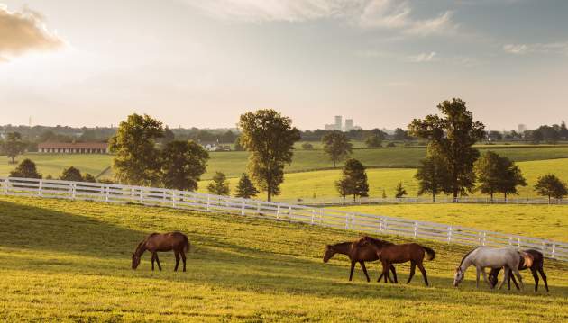 Breathtaking rolling hills and fence-lined pastures.
