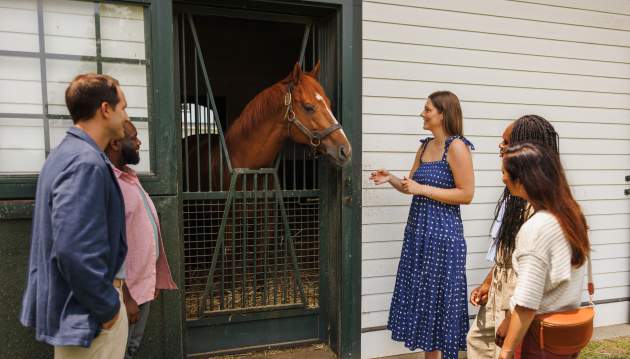 Horse Farm Tours