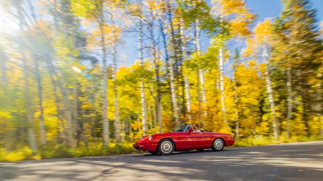 Scenic drive on Casper Mountain
