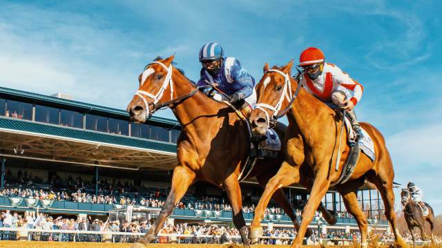 The Spring Activity Guide to Lexington